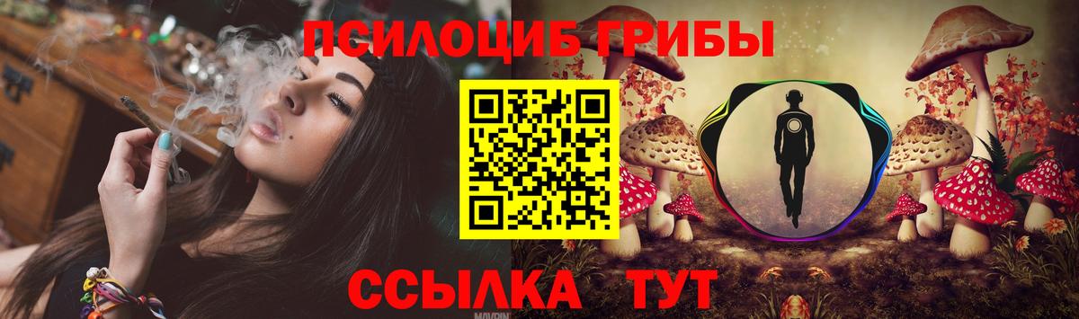 Галлюциногенные грибы Cubensis Магнитогорск